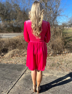 Carry It Well Velvet Dress