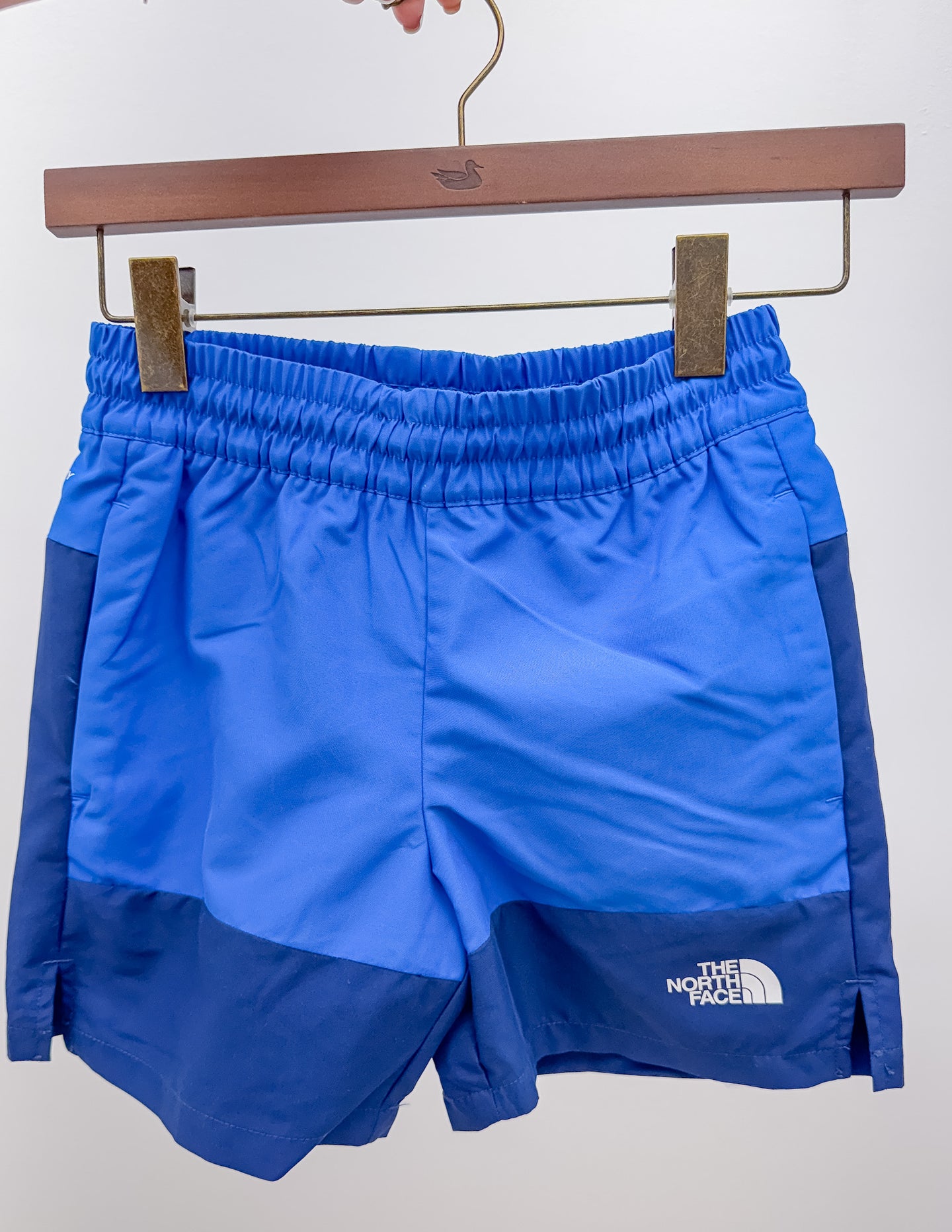 North Face Boys' Pathfinder Class V Shorts in Hero Blue/TNF