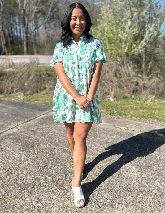 Loving Embrace Button Down Dress Pistachio