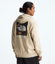 Load image into Gallery viewer, The North Face Men’s Box NSE Pullover Hoodie in Gravel