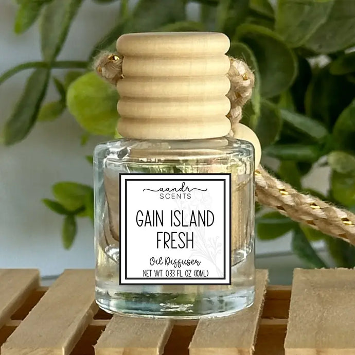 A&R Creations Car Diffuser in Gain Island