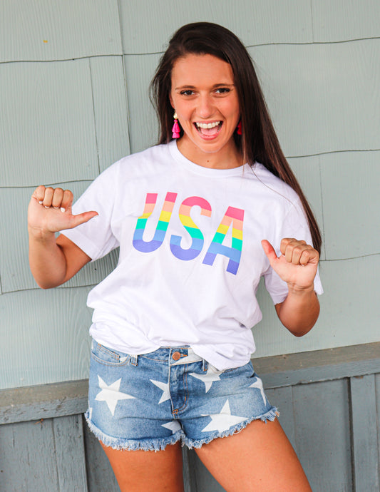 USA Rainbow Tee