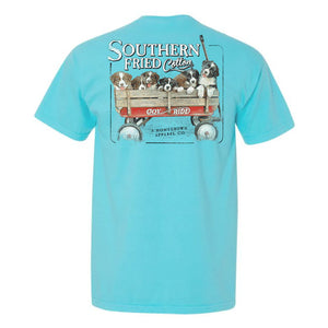 Southern Fried Cotton Joy Ride SS Tee